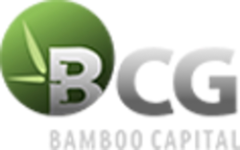 Bamboo Capital Group