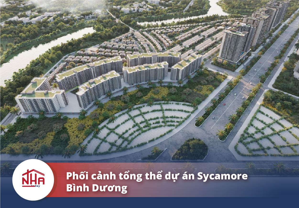 phoi canh sycamore