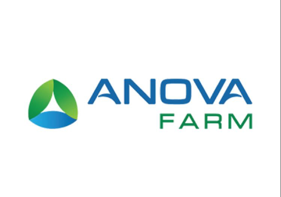 Anova Farm là ai? Đóng góp gì cho hệ sinh thái NovaGroup?
