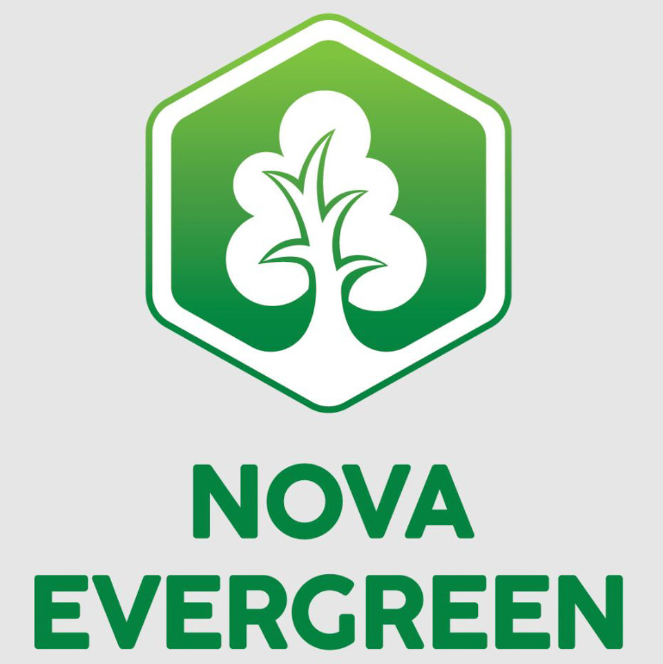 Nova Evergreen là ai? Cung cấp dịch vụ gì?