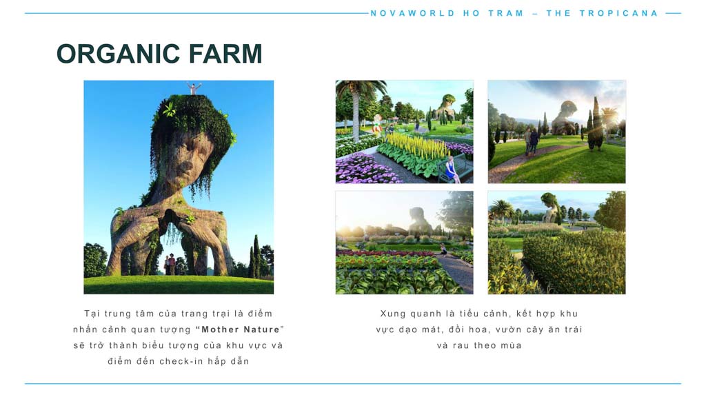 Organic Farm Novaworld Hồ Tràm ở đâu? Có gì hấp dẫn? 